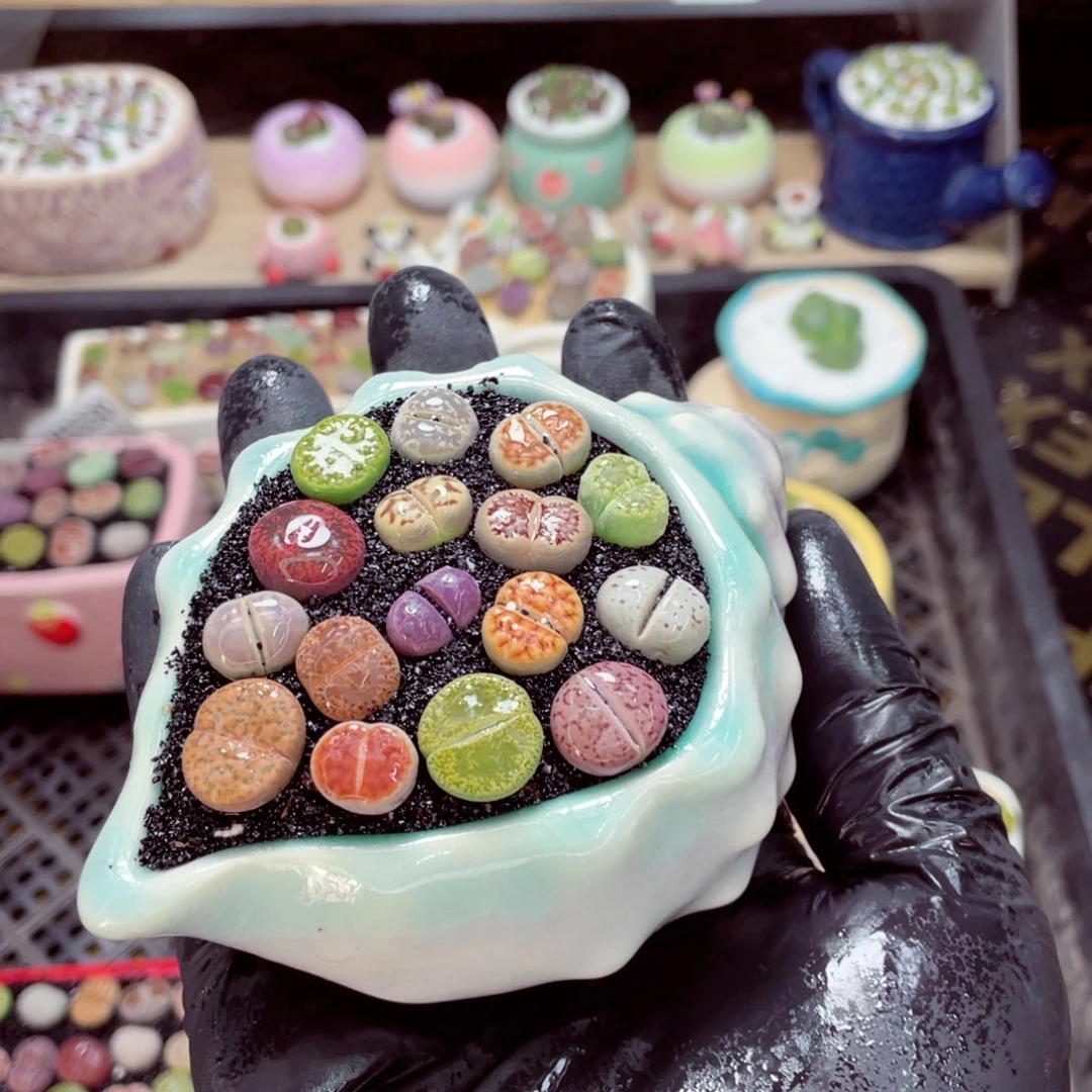 夜间零下地区拍保温箱w3333