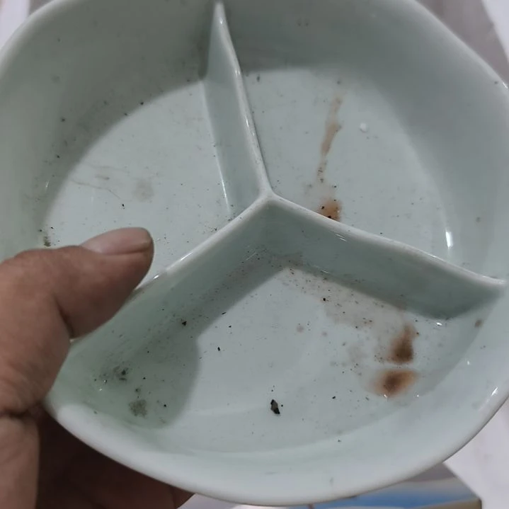 孤***影扇子fhghghghhhhhh