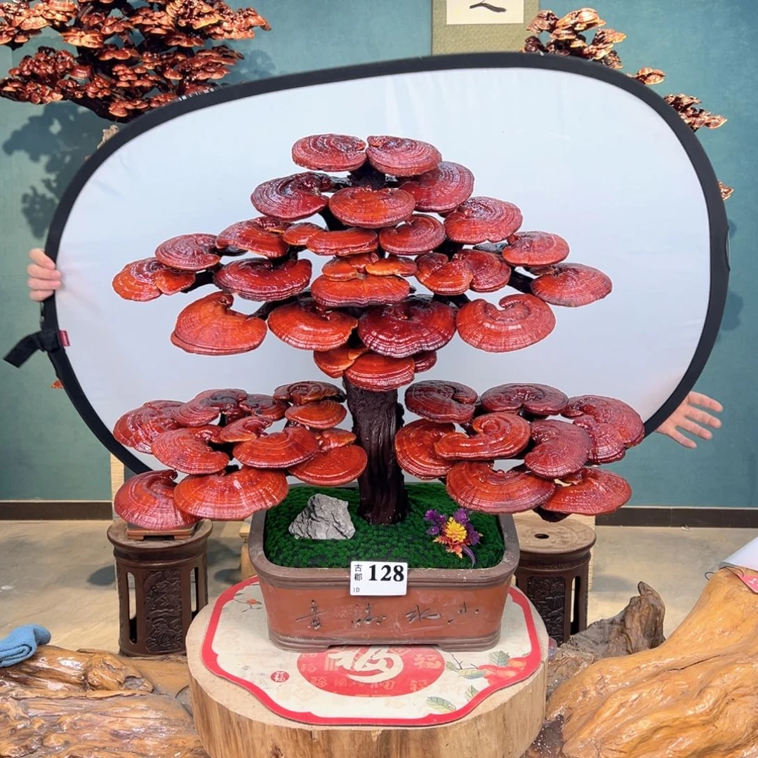 无花朵88888888888