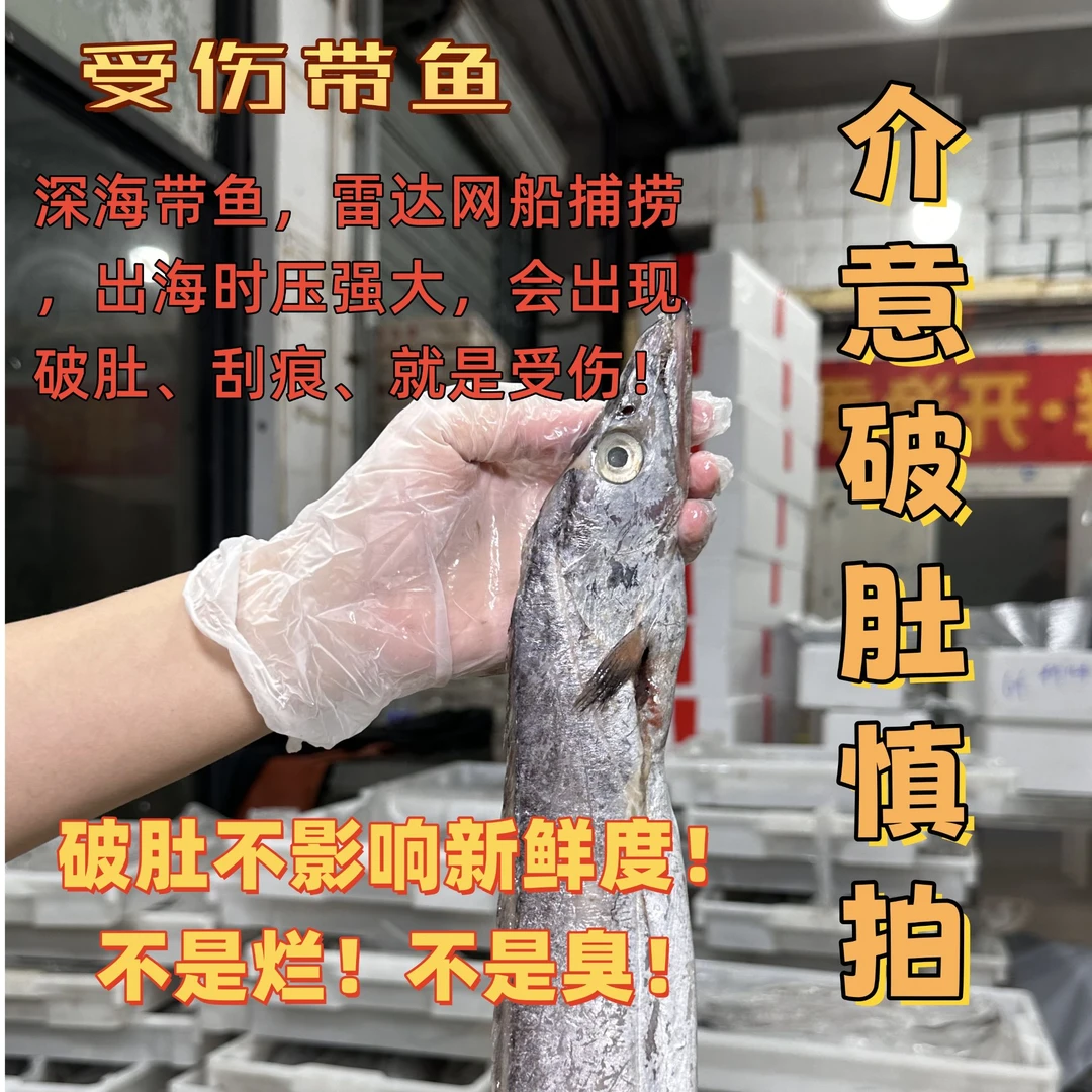 【受伤油带6斤9条】年货自留款！舟山本港油带！瑕疵款！介意慎拍！！