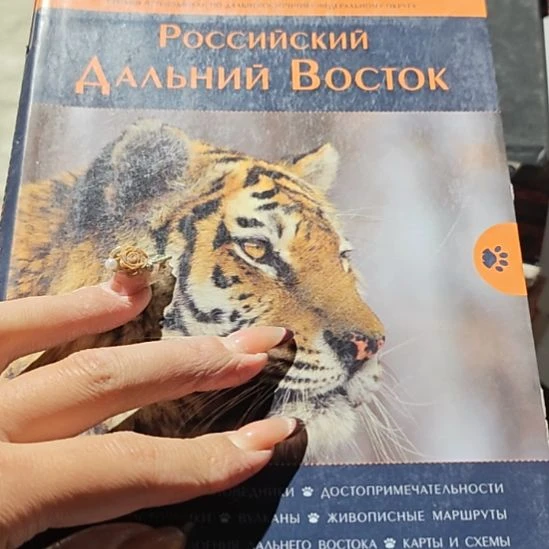 b144号外文书看好品相