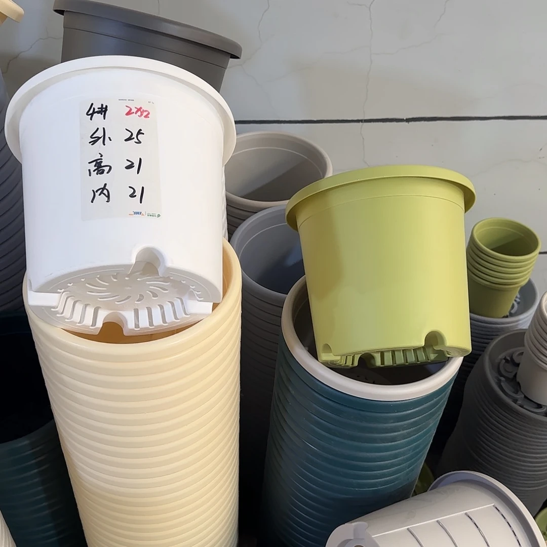 微瑕4号8个无托，果绿