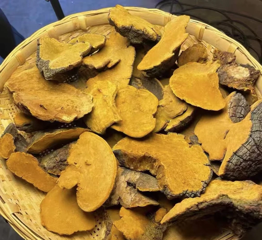 高端严选【桑黄】500g珍藏