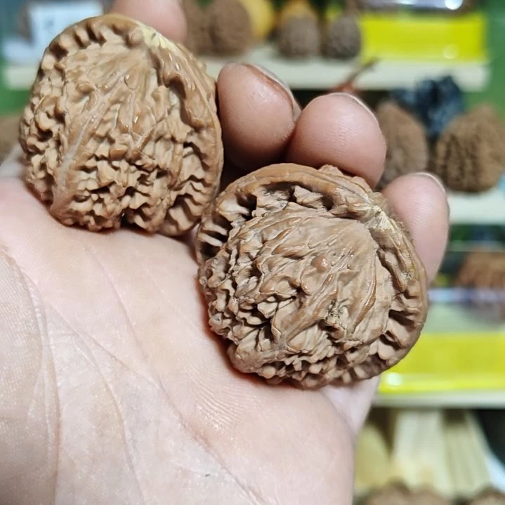 少***倾43加尺寸，黄尖闷白狮子头