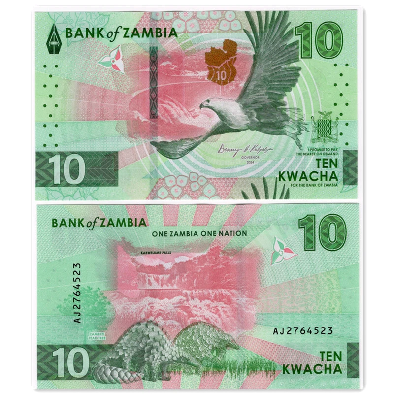 赞比亚10克瓦查纸币 2024(2025)年鹰 版非洲钱币全新UNC