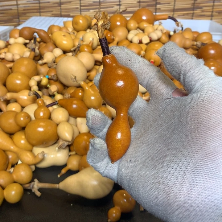 梨等经济林食物及营养元素丰富营养的