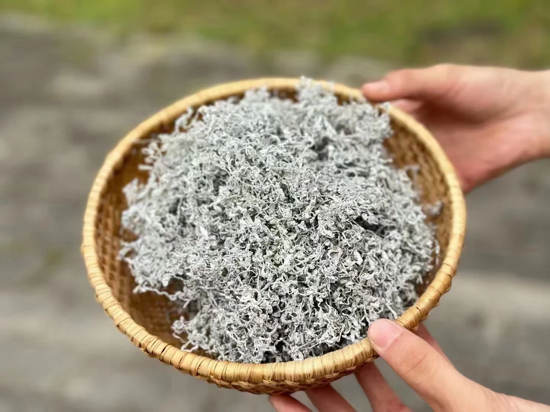 张家界莓茶（收茶链接）