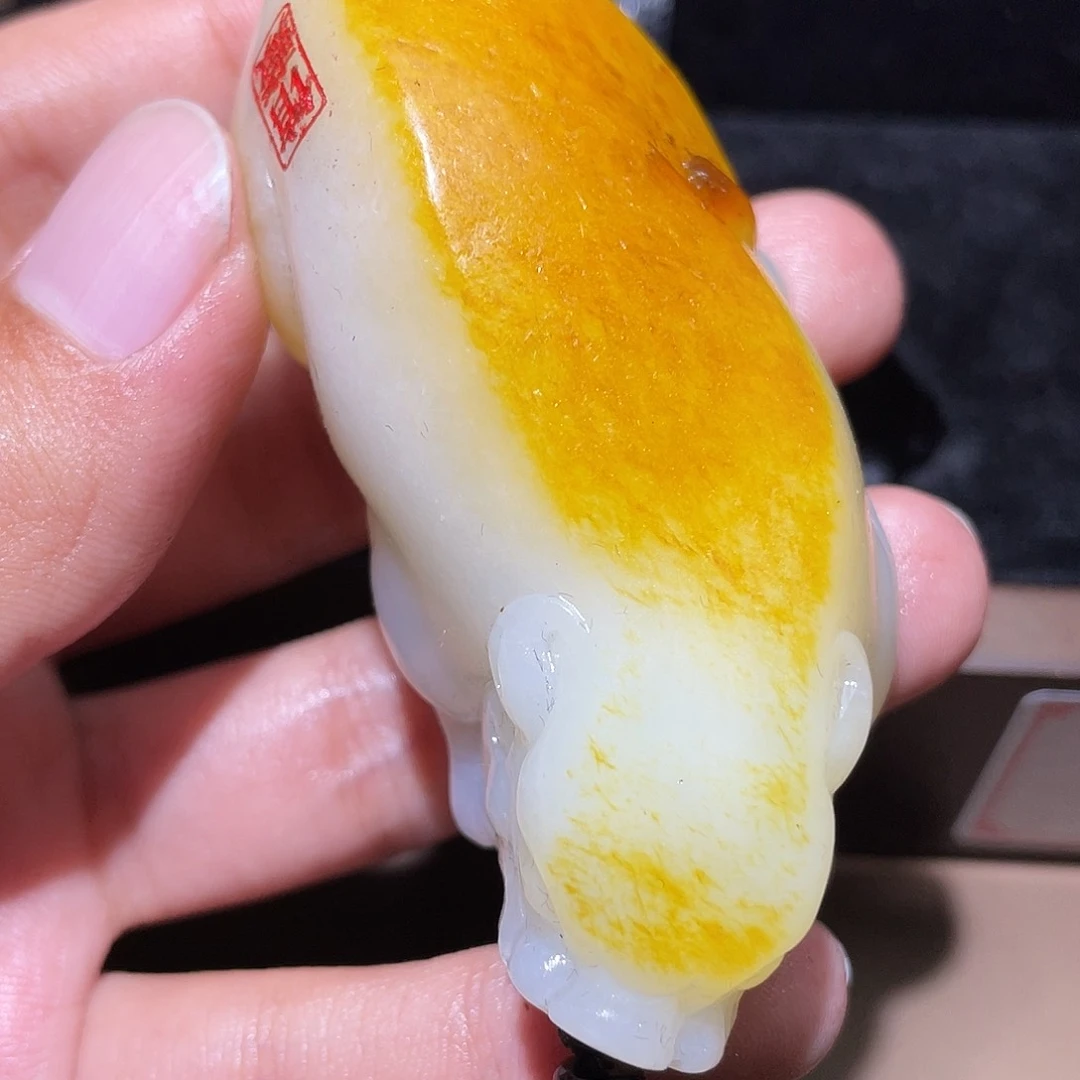 和田玉颈饰未镶嵌Y