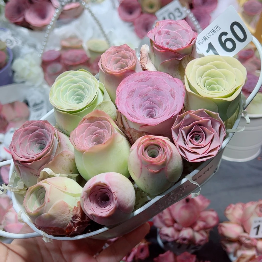 160混色长桶玫瑰组合。
