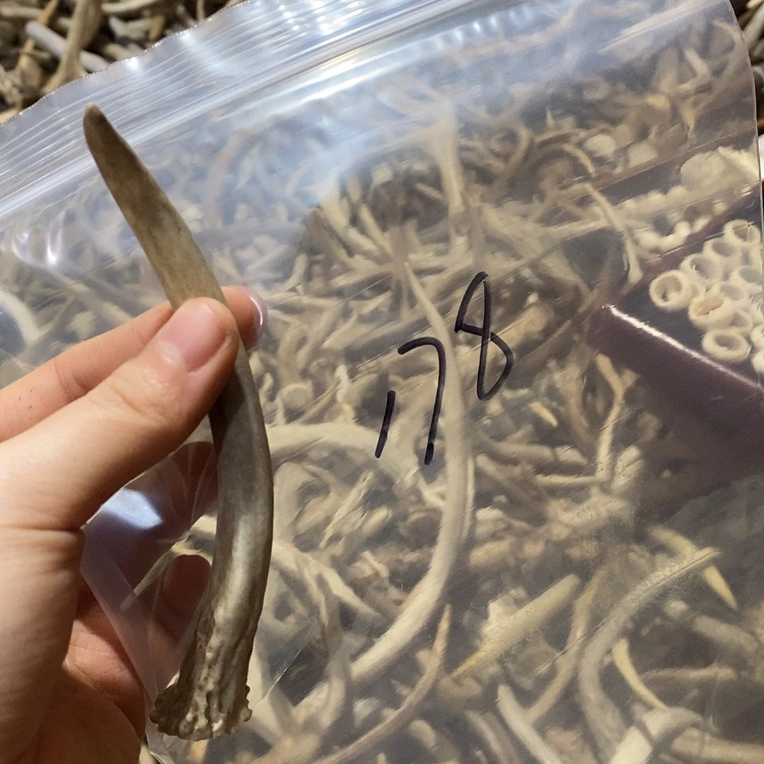 用***2非金属鹿角鹿角鹿角