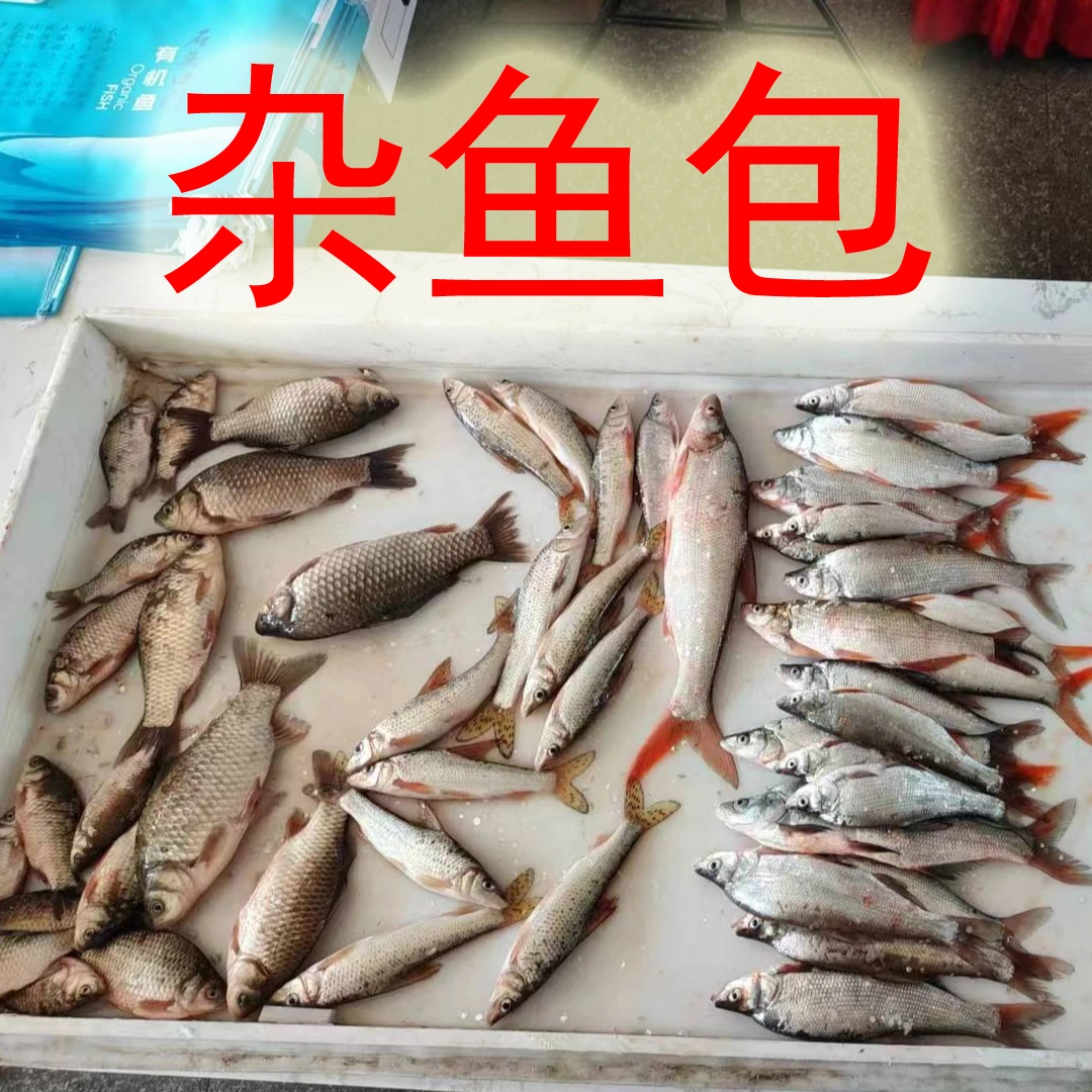2野生大杂鱼包装各种鱼有啥装啥(天热东三省外冻发)