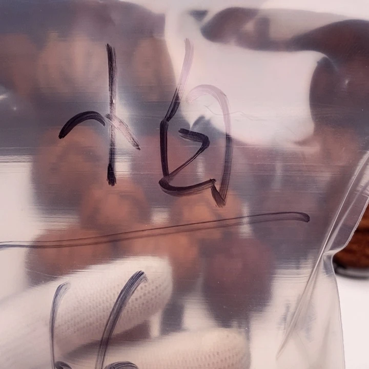 文玩核桃把件小*儿平谷元宝 不退不换