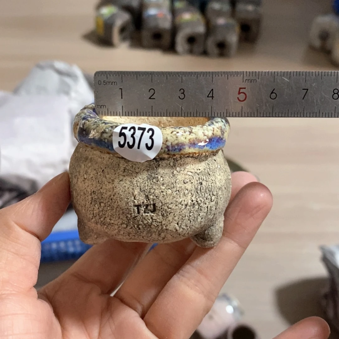 花*。拍5送一个小礼物