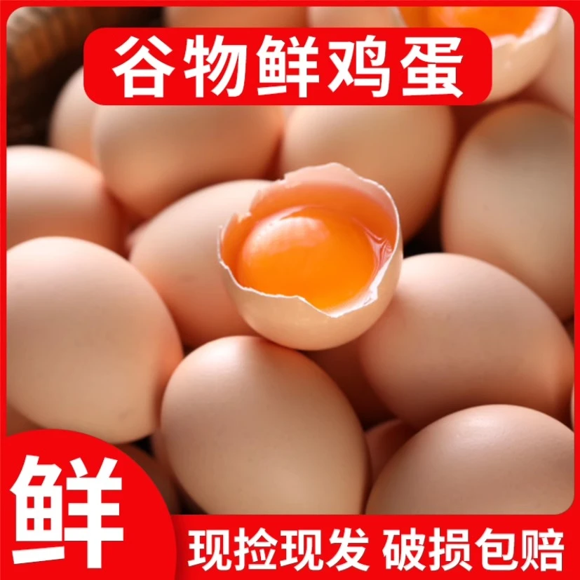 皖北正宗农家散养土鸡蛋50枚新鲜鸡蛋林间谷物喂养笨鸡蛋现捡现发