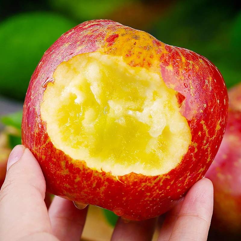 四川大凉山丑苹果当季新鲜水果红富士苹果脆甜5斤冰糖心苹果