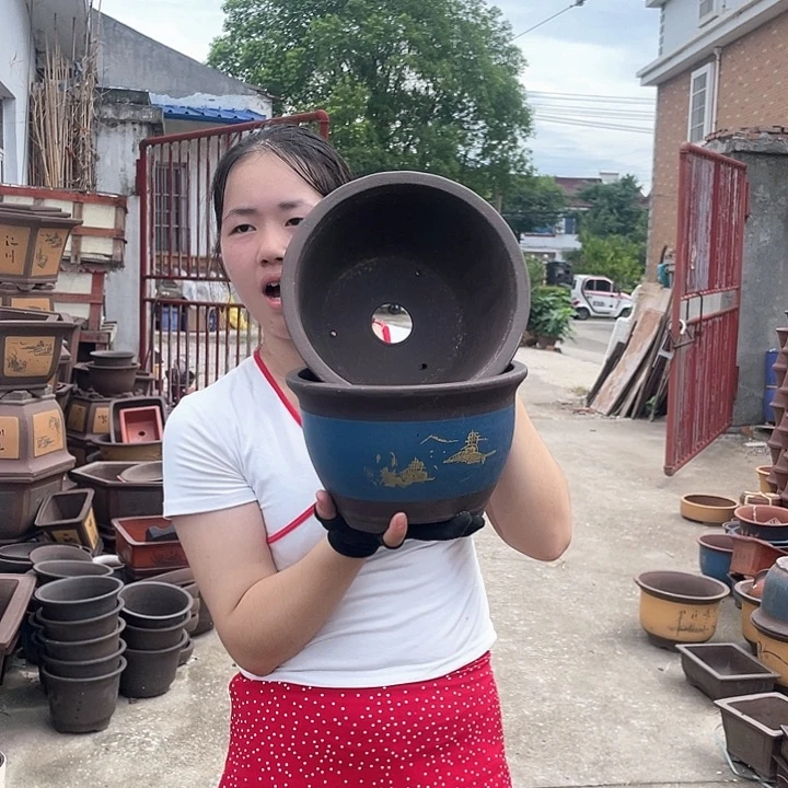 25+25蓝色花盆花盆花盆