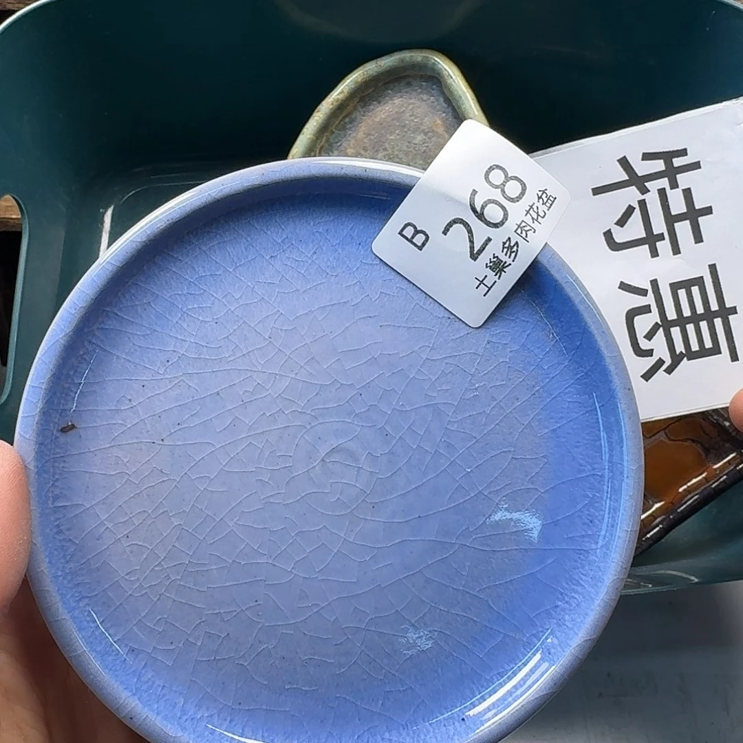 罐陶瓷艺术与工艺