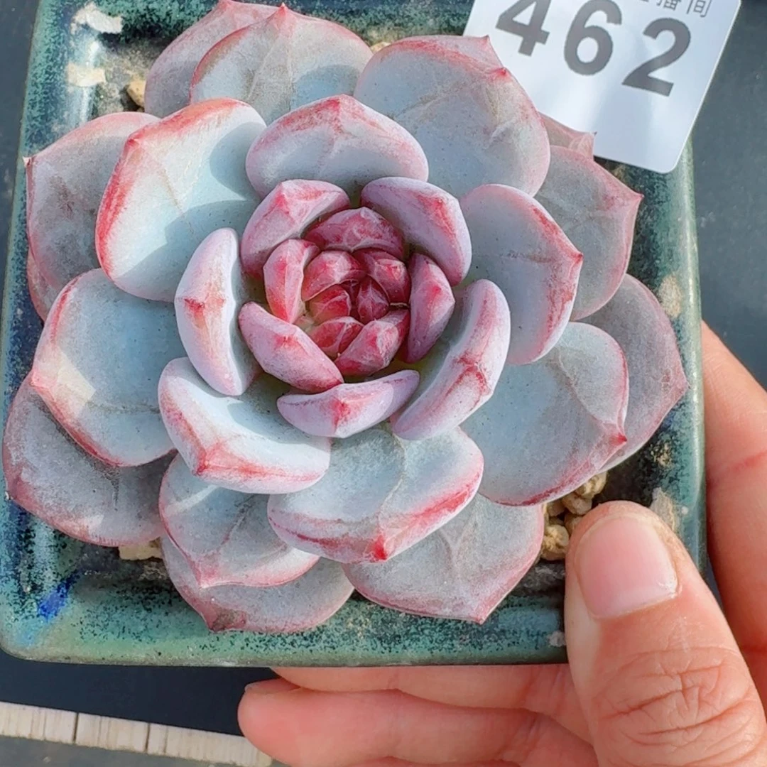 长相思      愿你一路坦途，乘风破浪展宏图