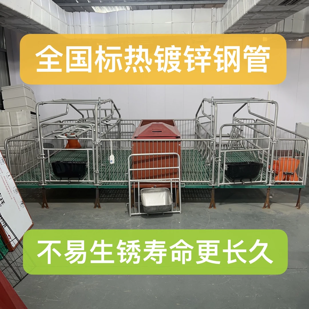 国标热镀锌钢管母猪产保两用双体产床不易生锈2.2米乘3.8米