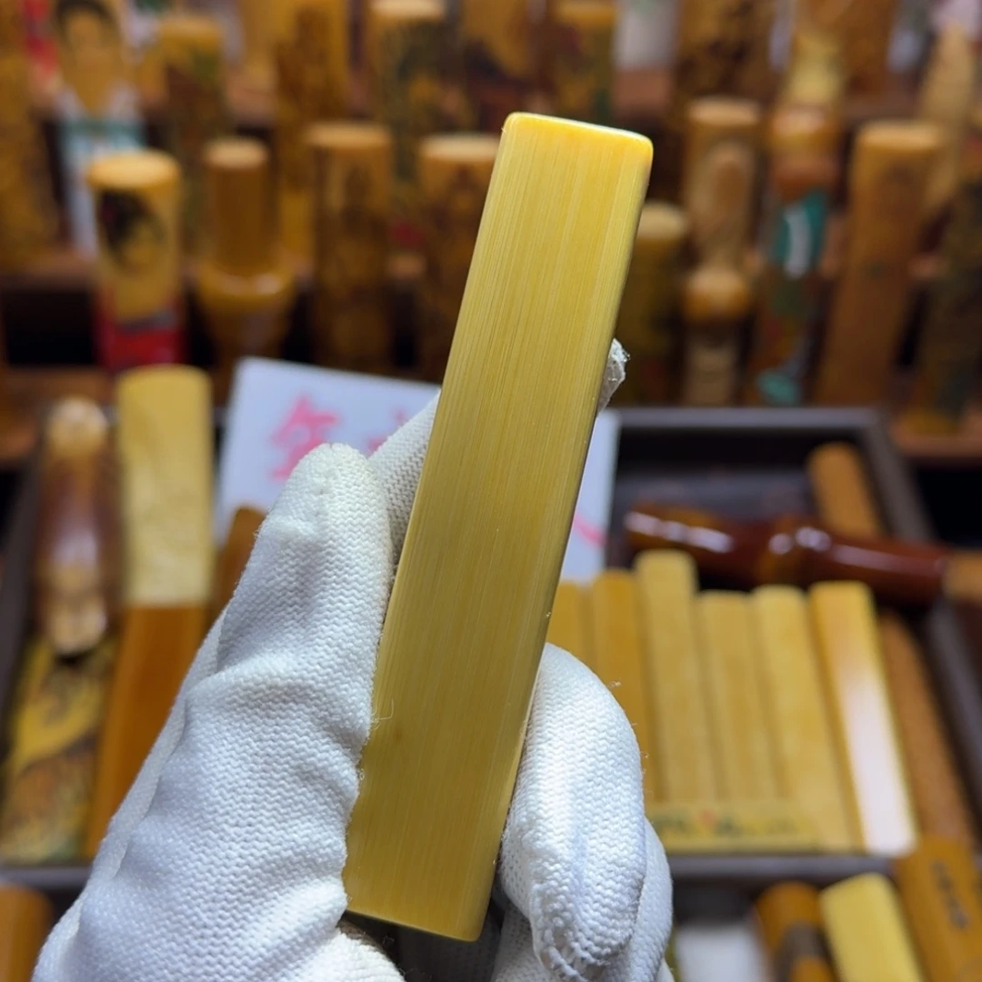 竹类精品实心玉竹