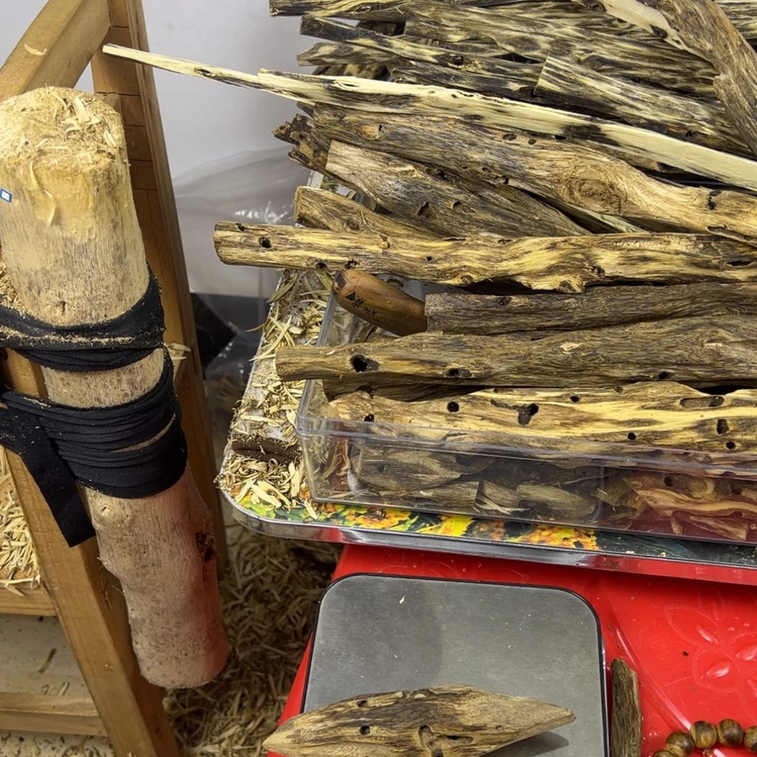 线香奇楠虫漏香19克