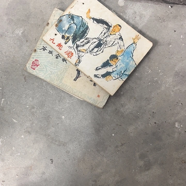 杂色豆（科檀/科特迪瓦檀木）旭***！