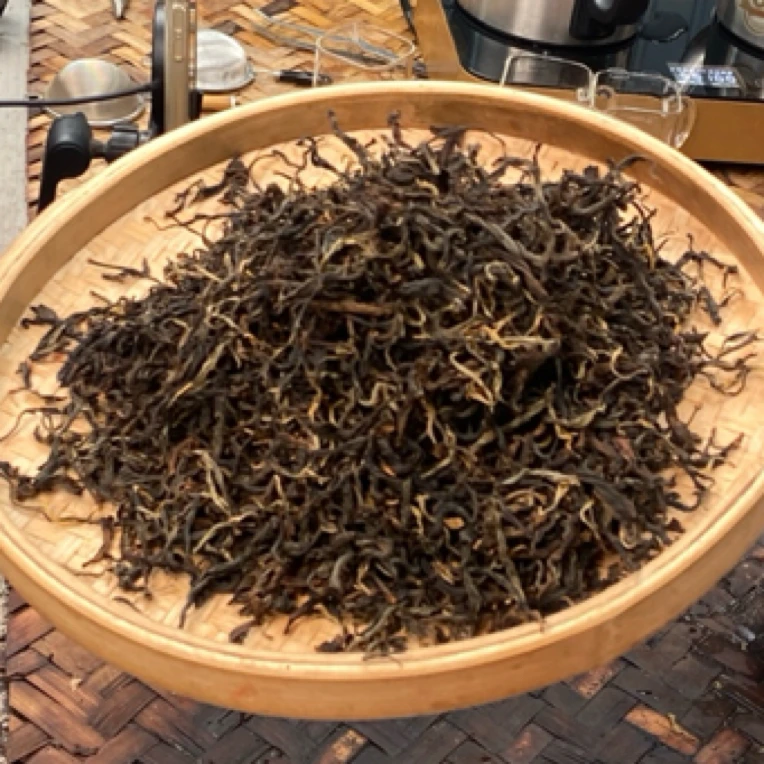 *2025年【甲山.春.混采】晒红散茶-7月11日【09】