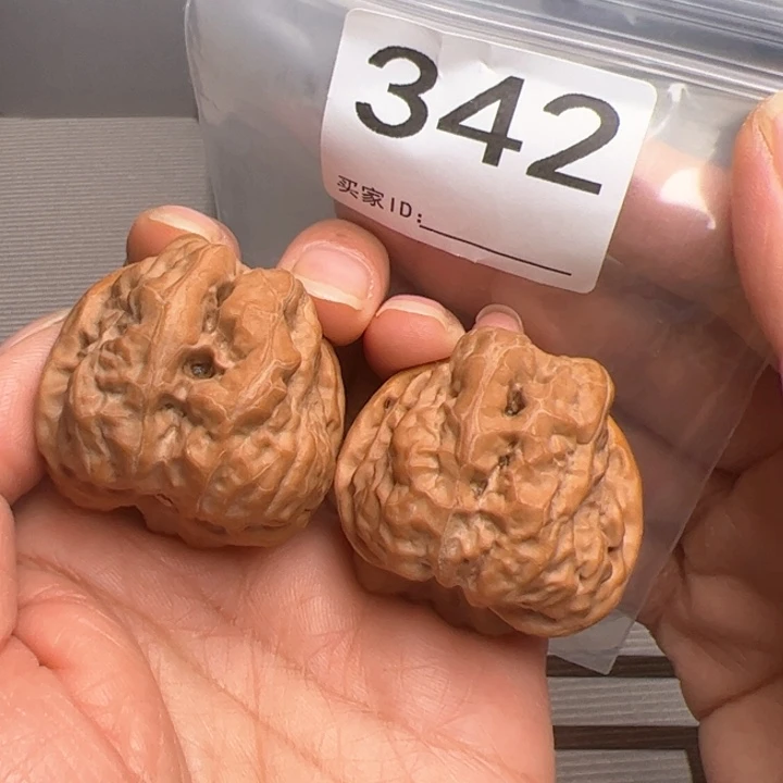 核桃四开背丑蛙342号
