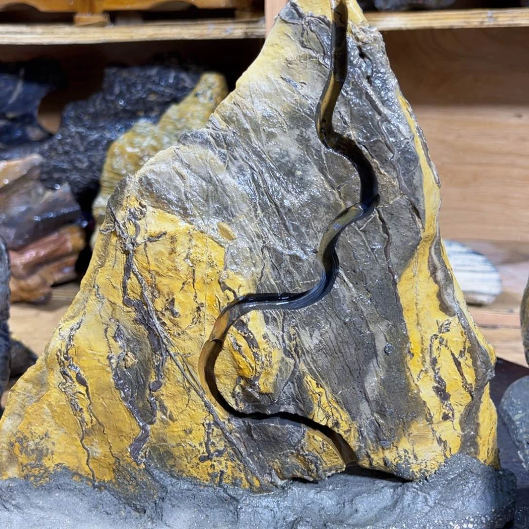 一**景附石盆景一物一拍