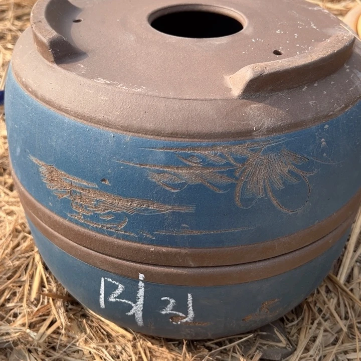 红陶紫砂碗盆口30