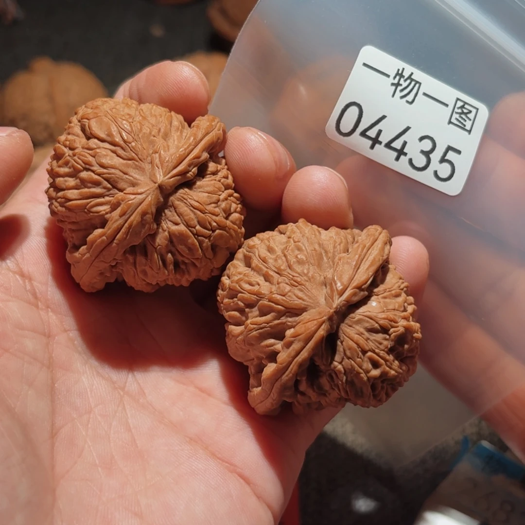 文玩核桃把件白狮子