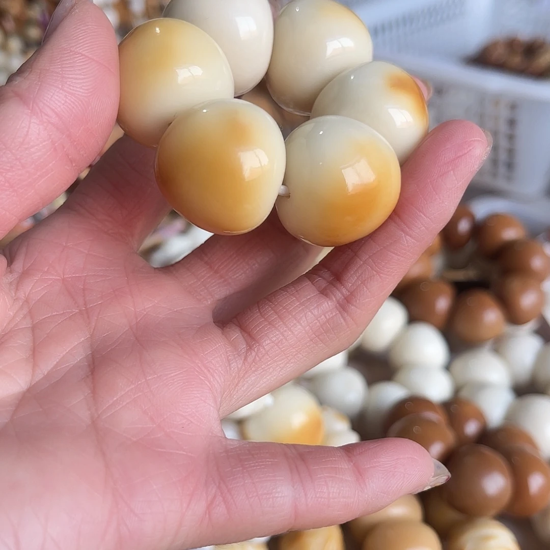 。***。菩提根/象牙果吊坠炭烤蒜瓣7颗