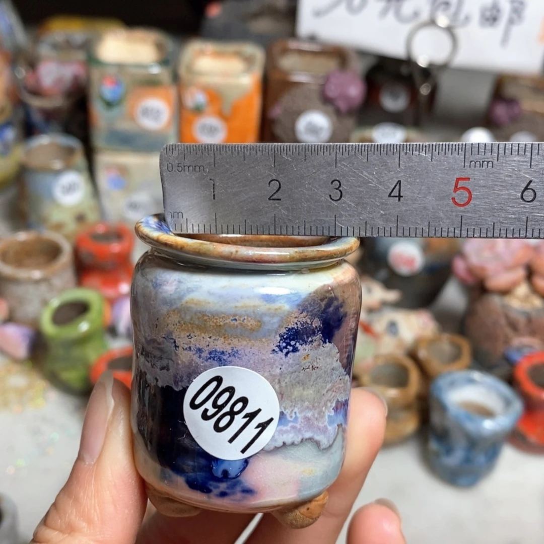 多肉花盆，拍5送一个小礼物