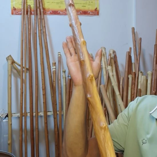 @***莲秦岭石山红荀子，牛筋木