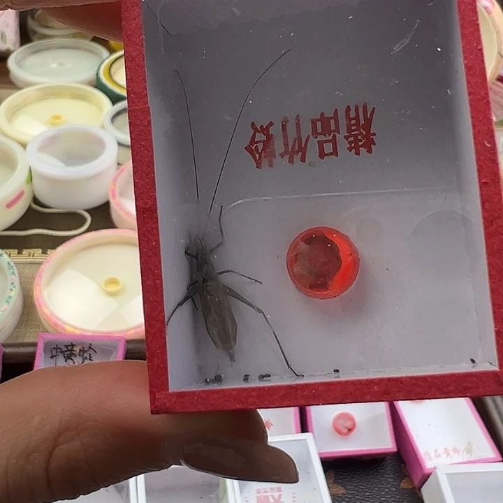 鸣虫虫具一个包邮