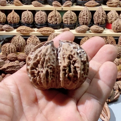 文玩核桃把件用****秋单只