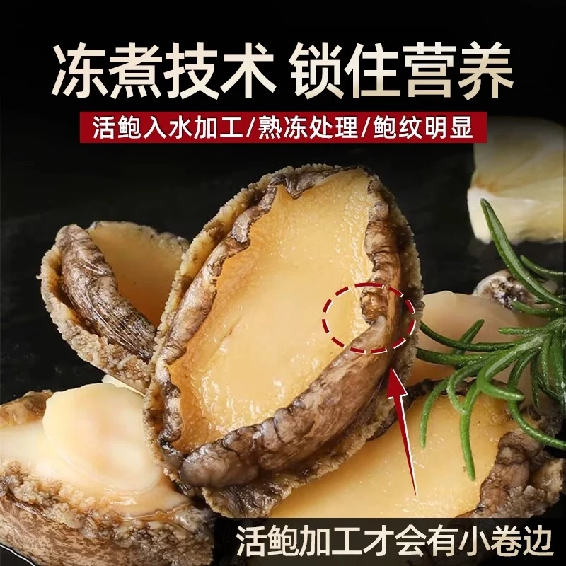 【15+15只】30只大号鲍鱼纯肉 5-6厘米 速冻锁鲜顺丰发货红烧炖肉