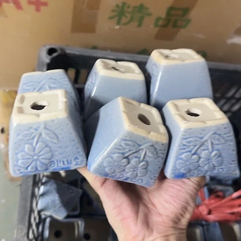 6个····全是福利····