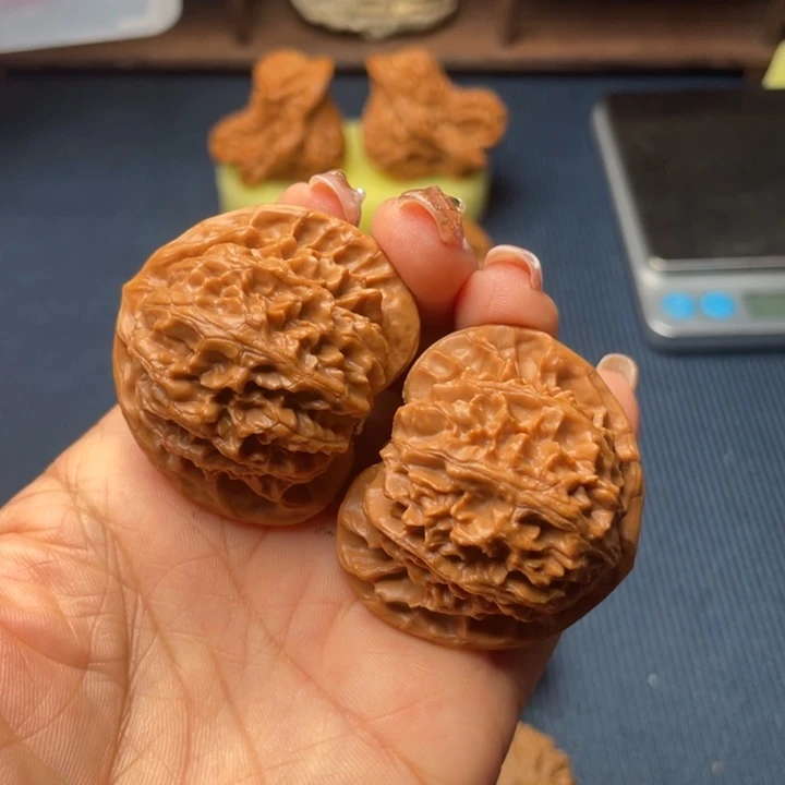 核桃42宫灯888888