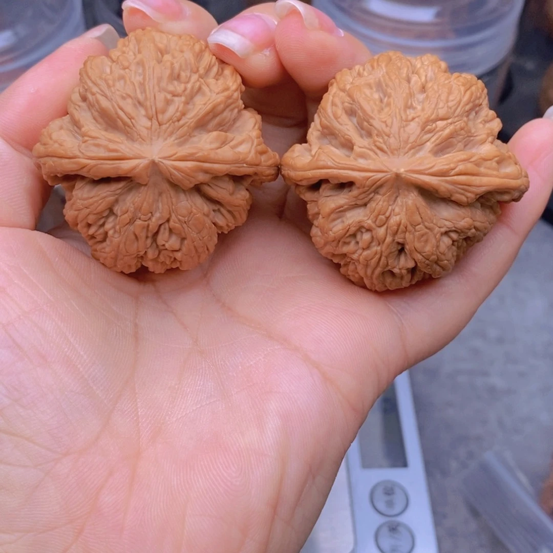 文玩核桃吊坠初*粗筋2