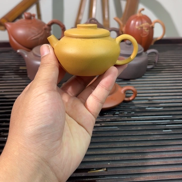 茶壶紫砂小巨轮放漏