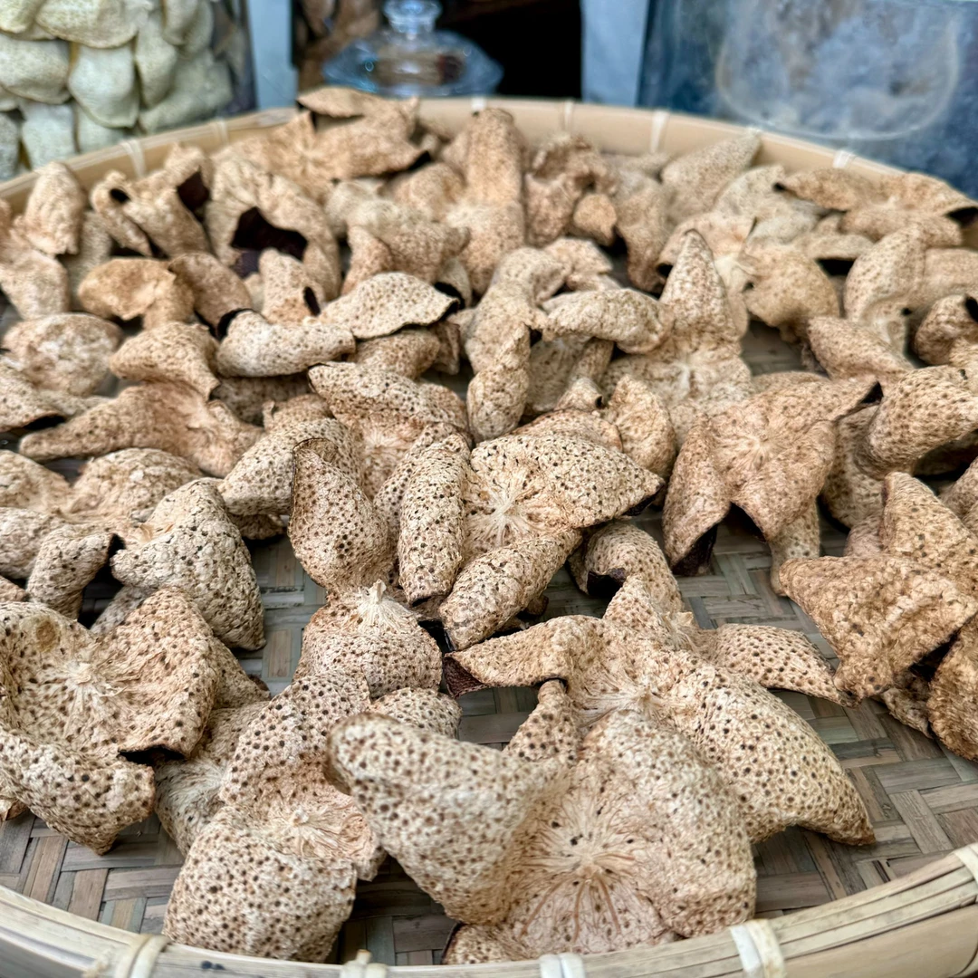 【圭峰老树保种】2017梅江村原枝老树大红油皮仔~