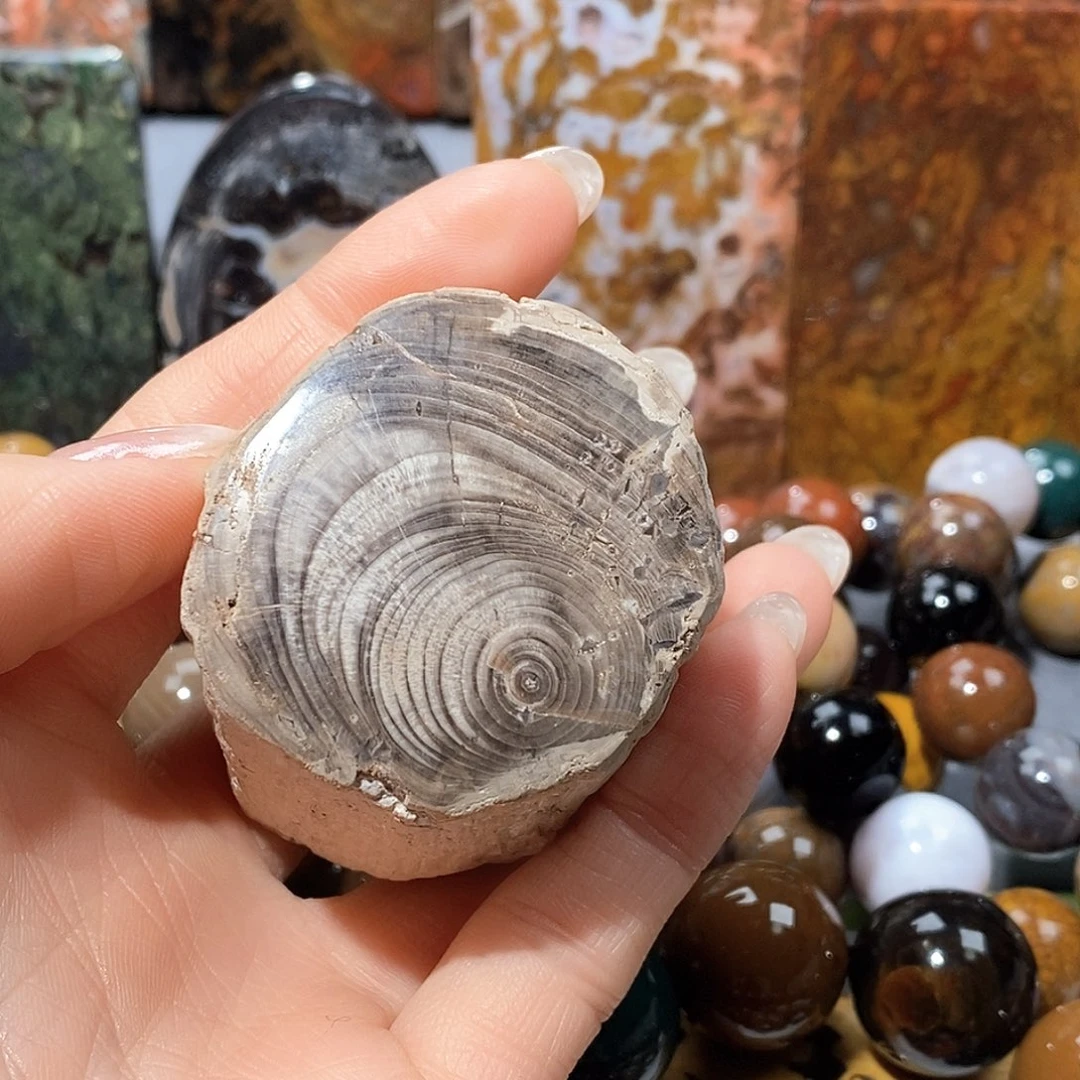 未镶嵌天然北票树化玉吊坠硅化玉神*?