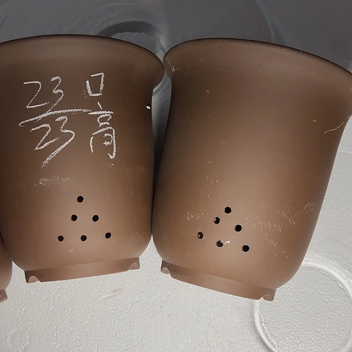 周深周深周深周深周深