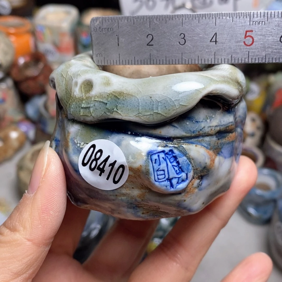 花盆拍3送一个小礼物