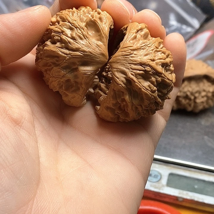 桃核把件一****草官帽蛇头