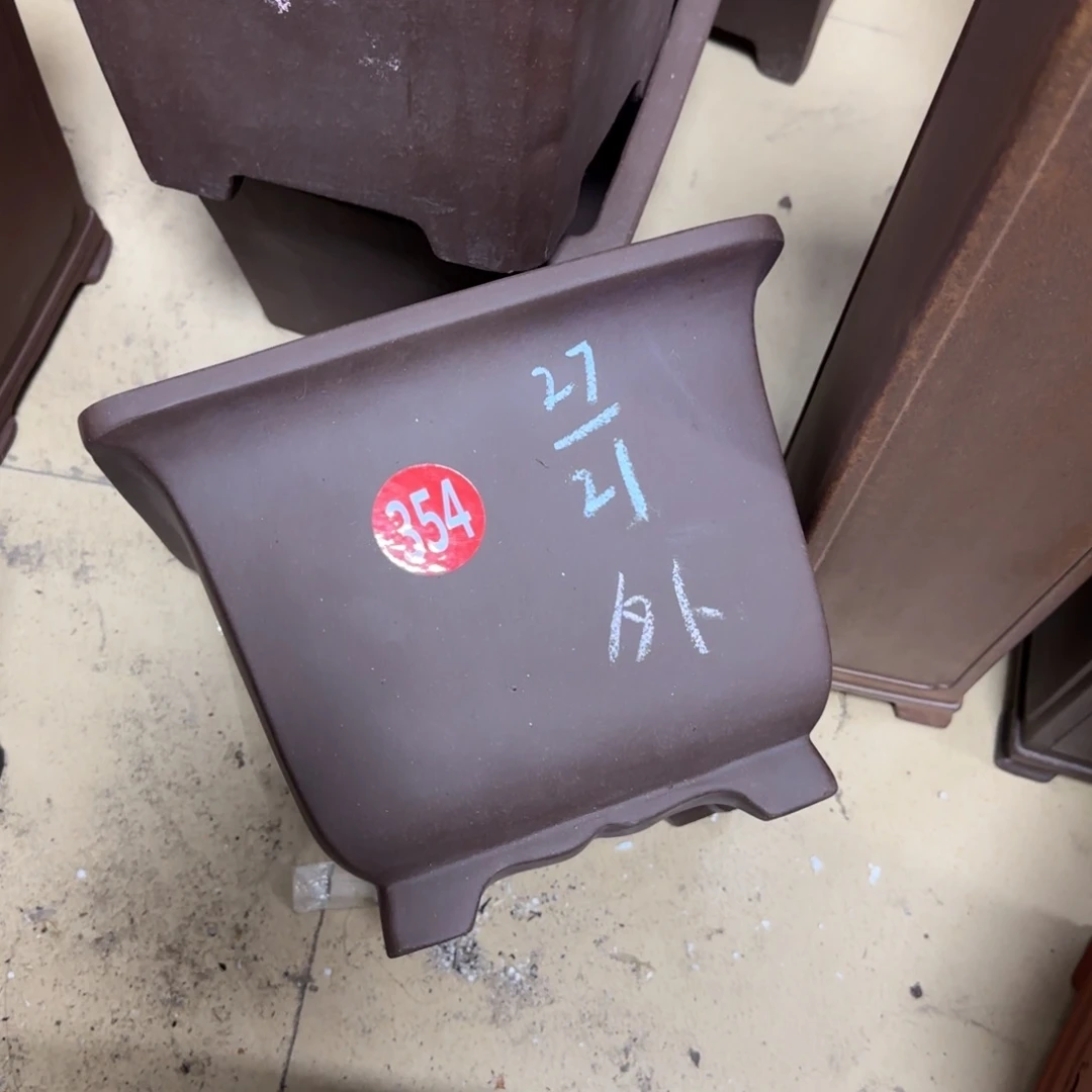 紫砂花盆我的小姐姐们都