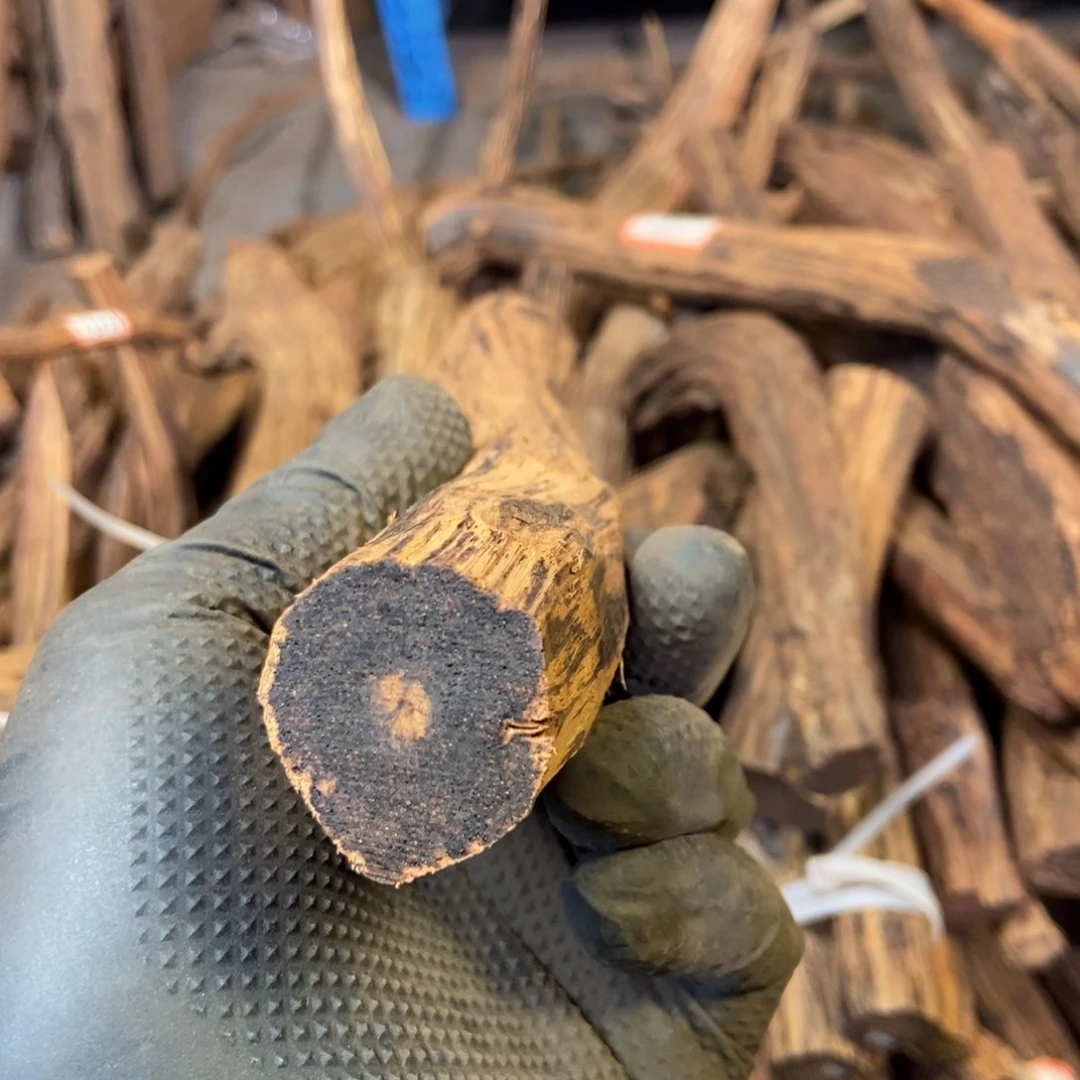 木心****埃缅甸小叶降真香原材料