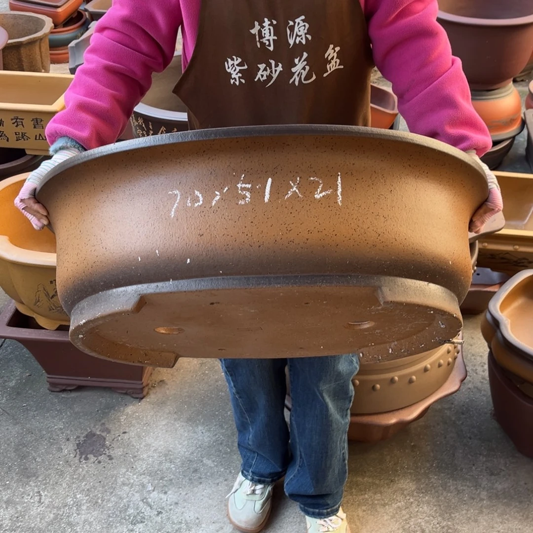 花盆紫砂盆景艺术