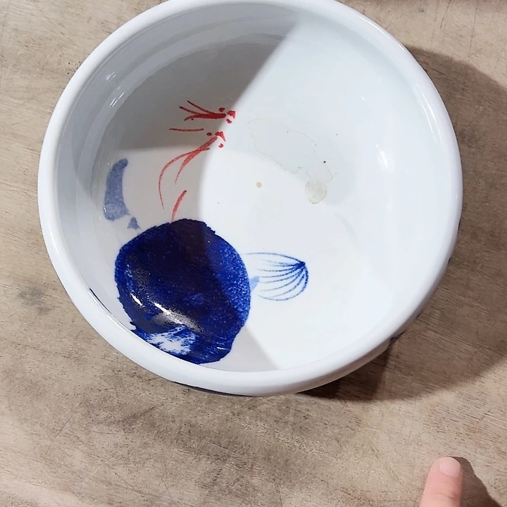 瓷片口径20厘米 高度6厘米